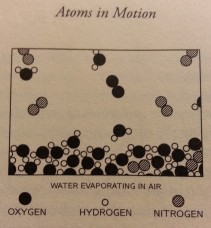 Atoms in motion